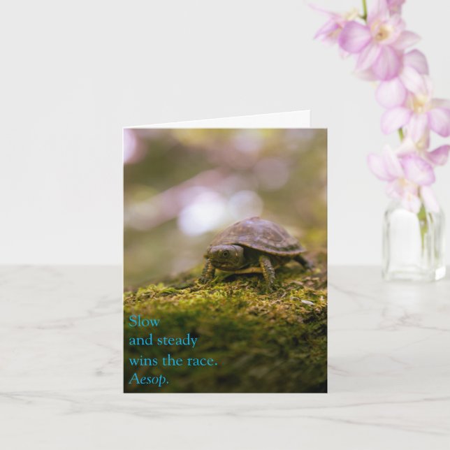 Cartão Lento e constante ganha a corrida - átomo (Orquídea)