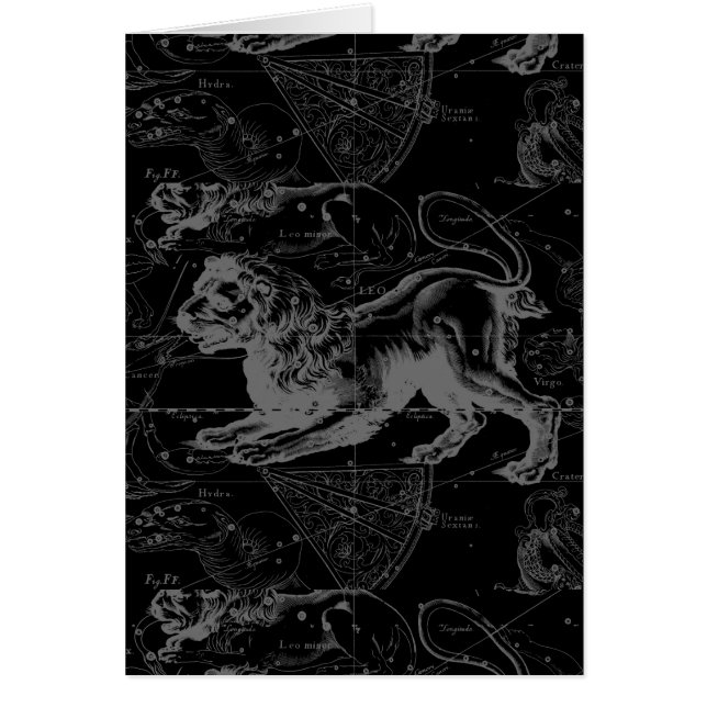 Cartão Leo Constelle Hevelius 1690 Decor (Frente)