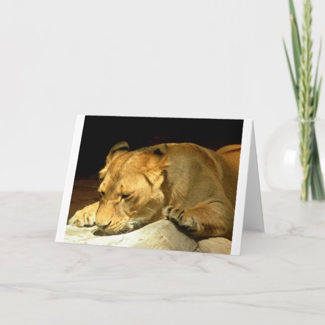 Cartão Leoa (Frente)