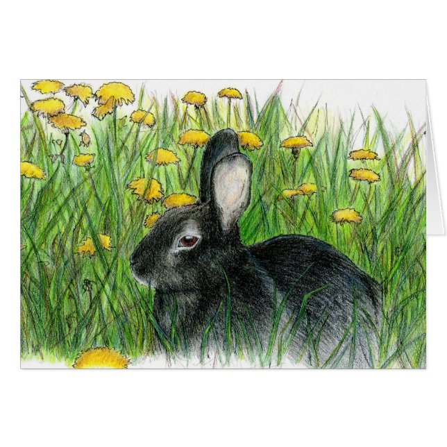 CARTÃO LEÕES DÂNDI (Frente Horizontal)