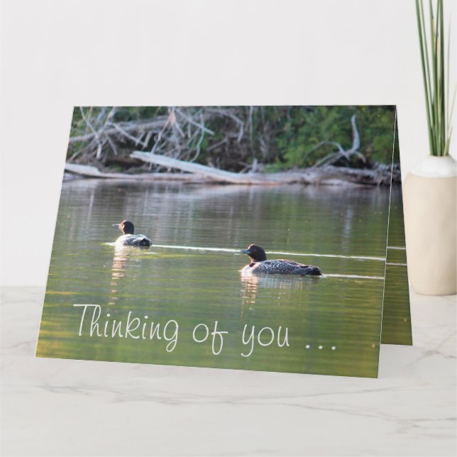 Cartão Leões Na Água (Frente)