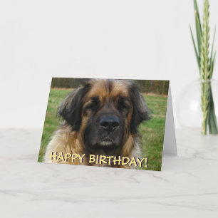Cartão Leonberger dog birthday card