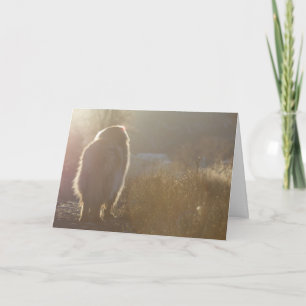 Cartão Leonberger Symapthy card