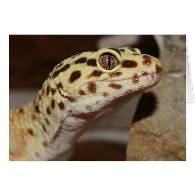 Cartão Leopard Gecko (Frente horizontal)