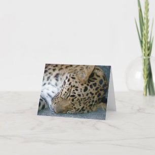 Cartão Leopard Note Card