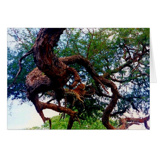 Cartão leopardo (Frente Horizontal)