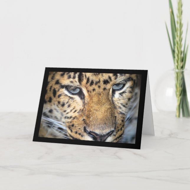 Cartão Leopardo Close Up (Frente)