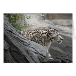 Cartão Leopardo de Neve