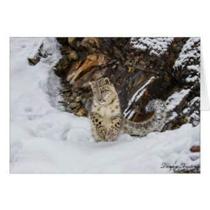 Cartão Leopardo de neve