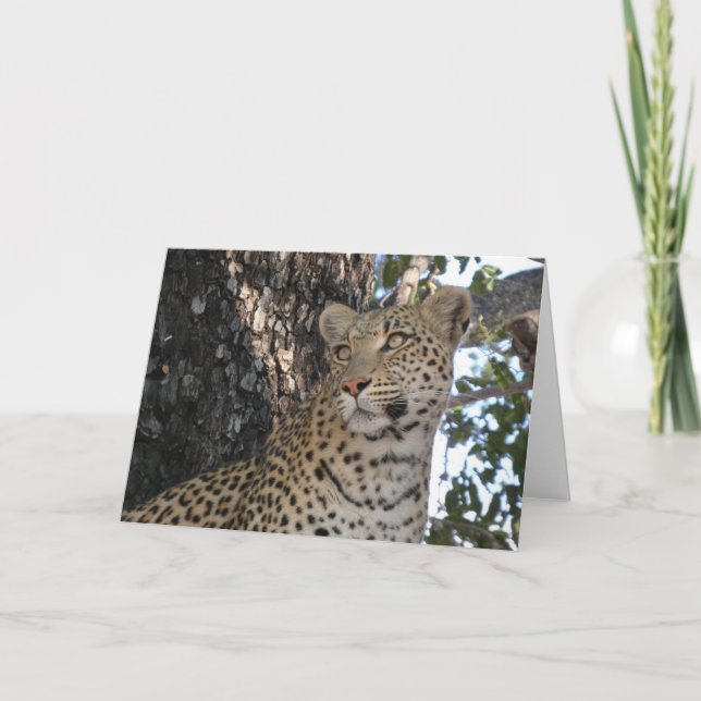 CARTÃO LEOPARDO DE PERTO (Frente)