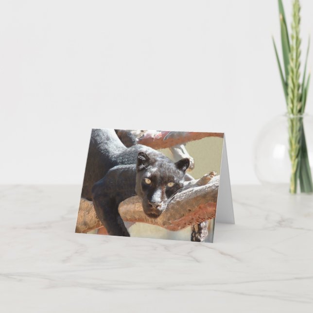 Cartão Leopardo preto (Frente)