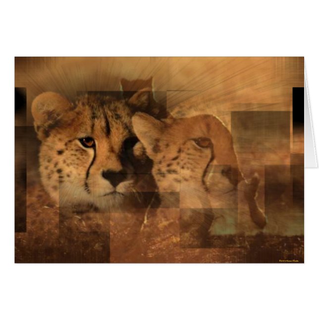 Cartão Leopards (Frente Horizontal)