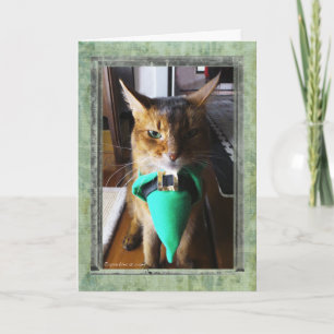 Cartão Leprechaun Cat St. Patrick's Day Greeting Card