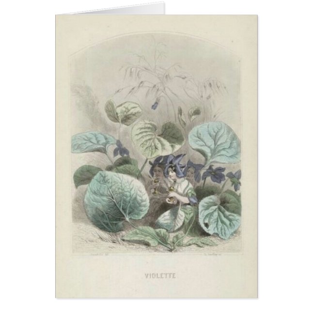 Cartão Les violeta Fleurs (Frente)