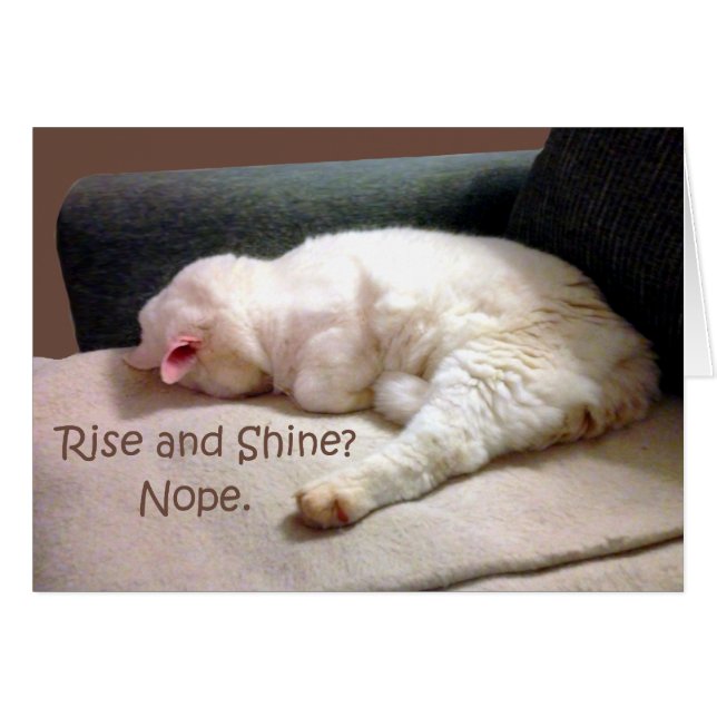 Cartão Levanta e brilha? Não. (Frente Horizontal)