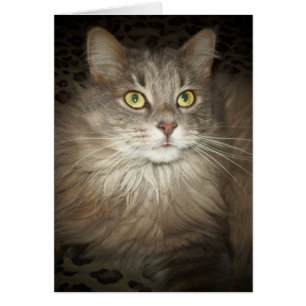 Cartão Levantamento