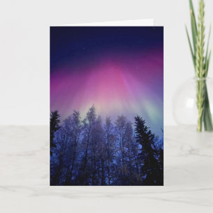 Cartão LGBT Celebre os feriados da Mãe Natureza ou qualqu