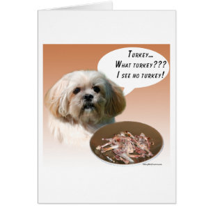 Cartão Lhasa Apso Turquia