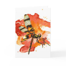 Libélula da flâmula do Dia das Bruxas