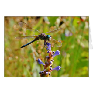 Cartão libélula de flor de lavanda