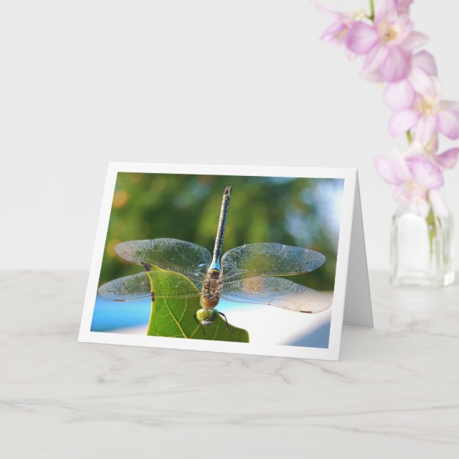 Cartão Libélula em Folha Verde (Orquídea)