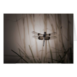 Cartão Libélula - olhar do vintage