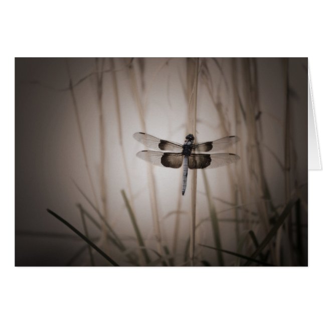 Cartão Libélula - olhar do vintage (Frente horizontal)