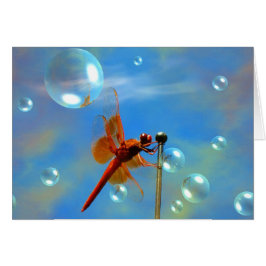 Cartão Libélula vermelha transparente