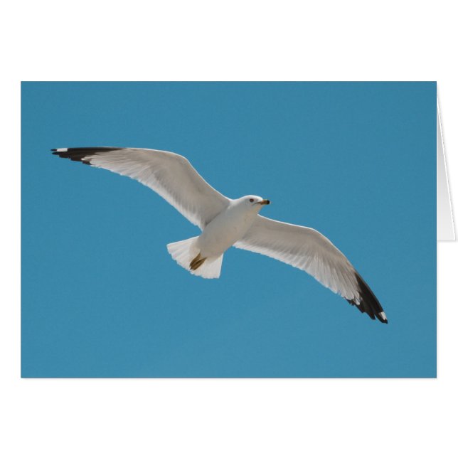 Cartão Liberdade (Frente Horizontal)