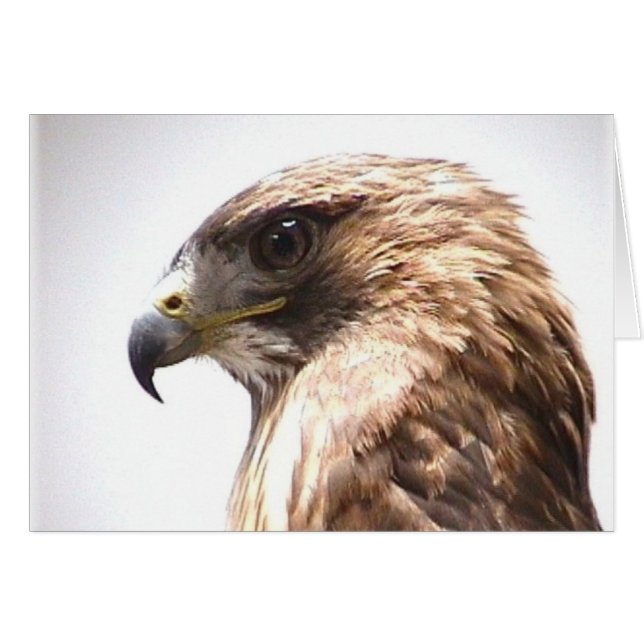 Cartão Liberdade (Frente Horizontal)