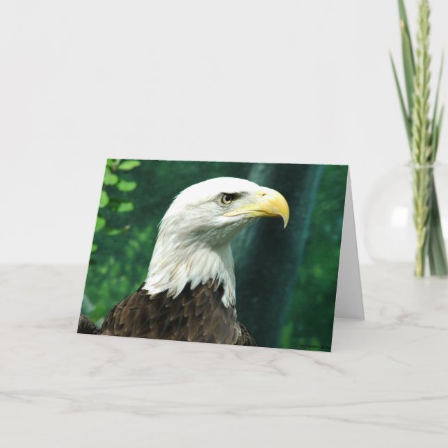 Cartão Liberdade (Frente)