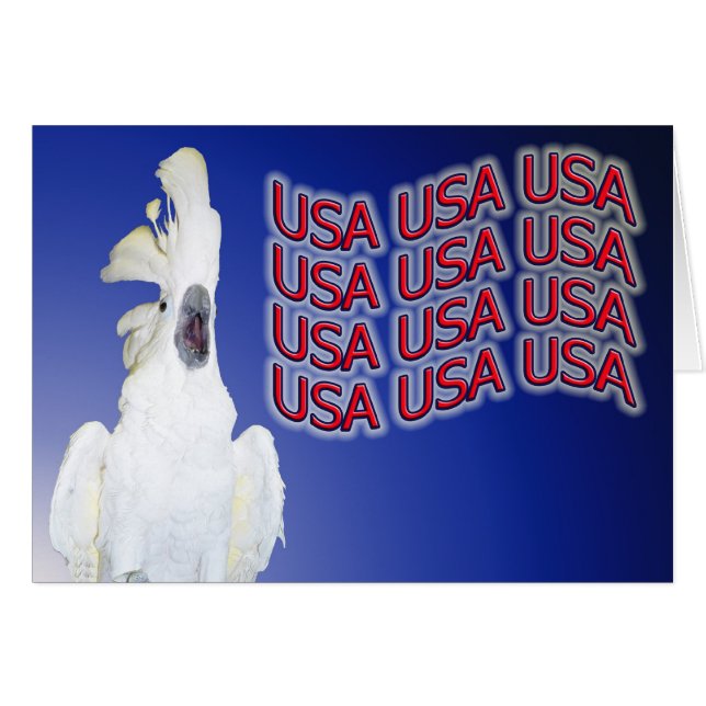 Cartão Liberdade de expressão (Frente Horizontal)