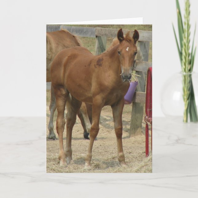 Cartão Lil' um (Frente)