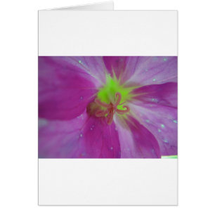 Cartão Lila gestreiftes Blütenmuster mit gelber Mitte