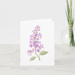 Cartão Lilac