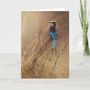 Cartão Lilac-Breasted Roller Blank Greeting Card, Denman