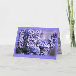 Cartão Lilac Bush em Bloom-Dia de as mães ou em qualquer 