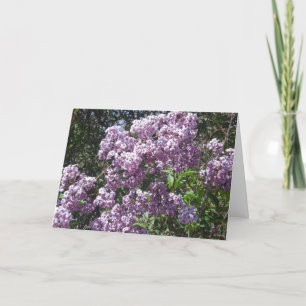 Cartão Lilacs Birthday Card