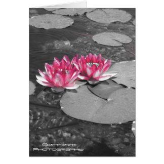 Cartão lilas de água