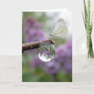 Cartão Lilases de Aniversário Refletindo numa Gota de Chu