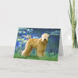 Cartão Lilies 5 - Wheaten Terrier (em pé)