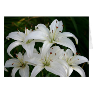 Cartão Lillies