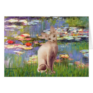 Cartão Lillies 2 - Cream Sphynx cat
