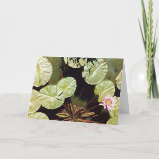 Cartão Lillies Água 02