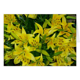 CARTÃO LILLIES AMARELAS