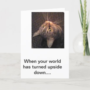 Cartão Lillysez que bons amigos se mantêm.