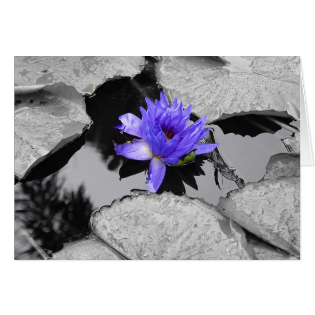 Cartão Lily (Frente Horizontal)