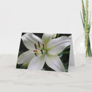 Cartão Lily