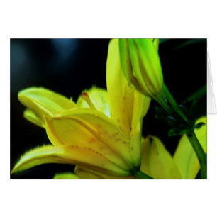 Cartão Lily amarela com efeito eólico por Shirley Taylor