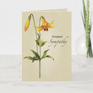 Cartão Lily Botanical Sympathy